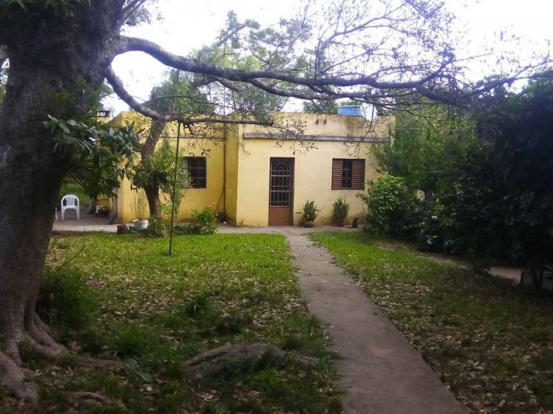 Chcara - Venda - Regio de Palomas - Sant'ana do Livramento - RS