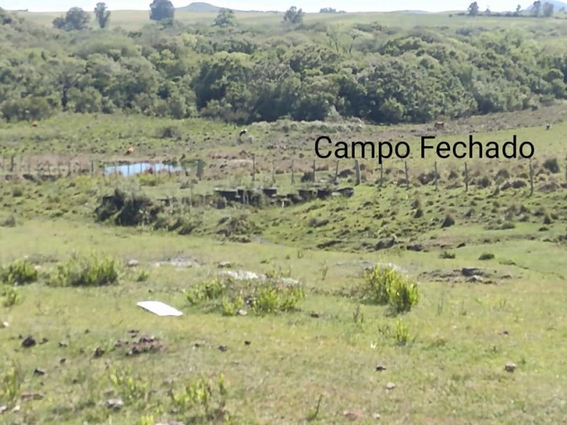 Chcara - Venda - Passo do Forno - Santana do Livramento - RS