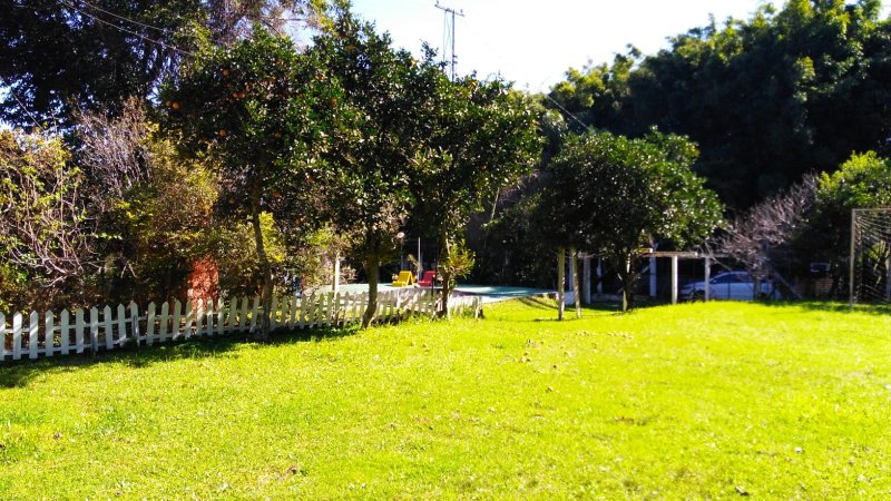 Chcara - Venda - Vigia - Santano do Livramento - RS